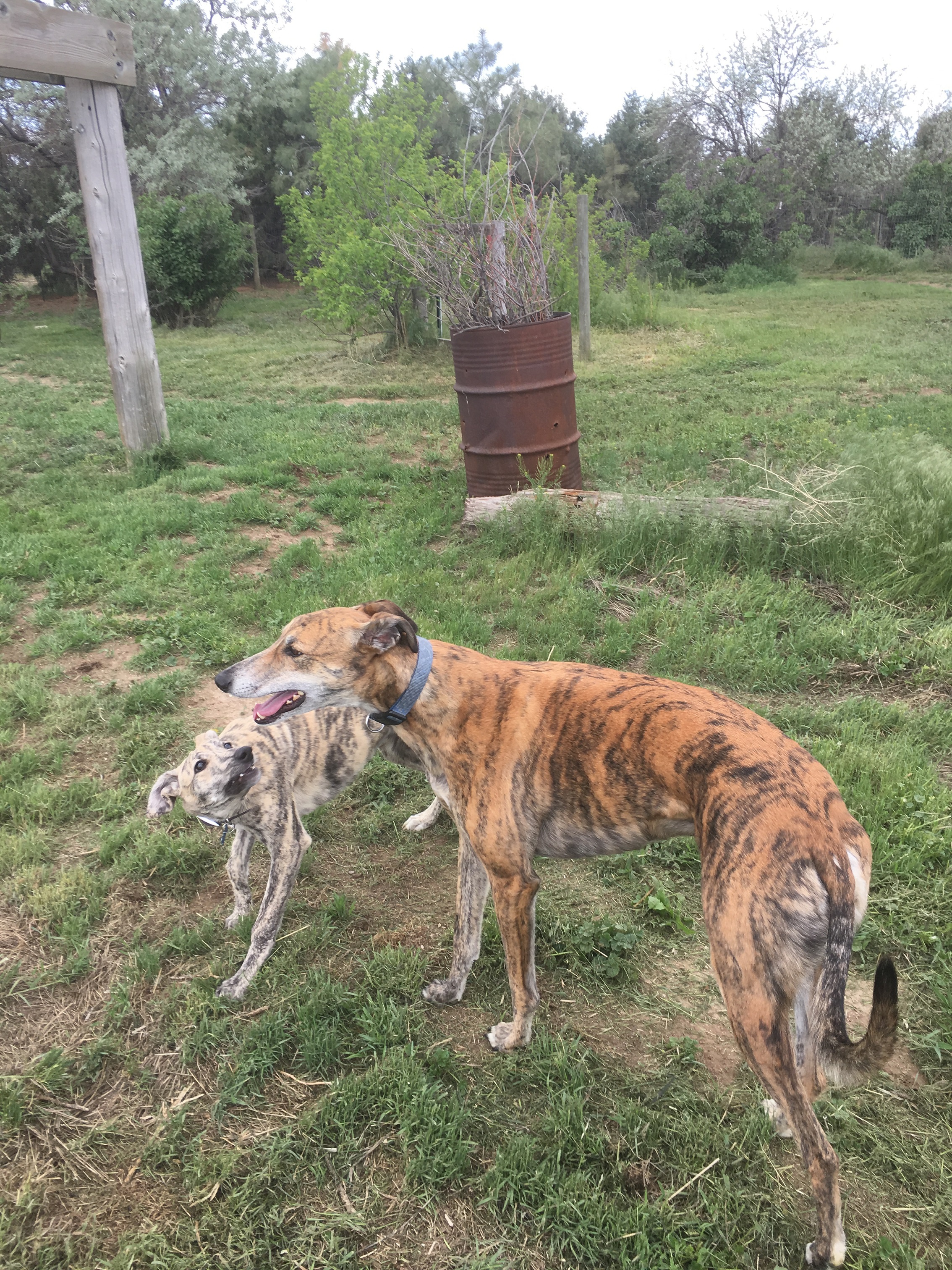 Lenny and Shelly